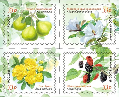 2025 russia piante della - 2025,