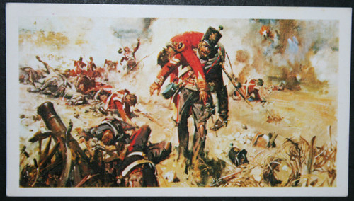 17th regiment - (leicestershire),